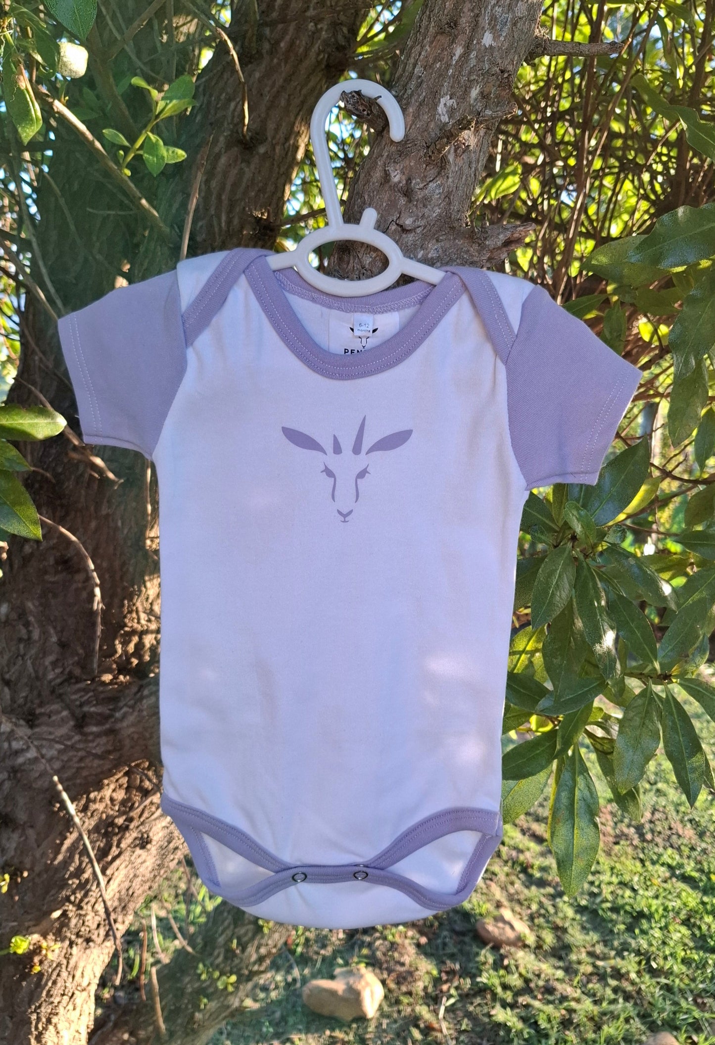Short sleeve Onesies